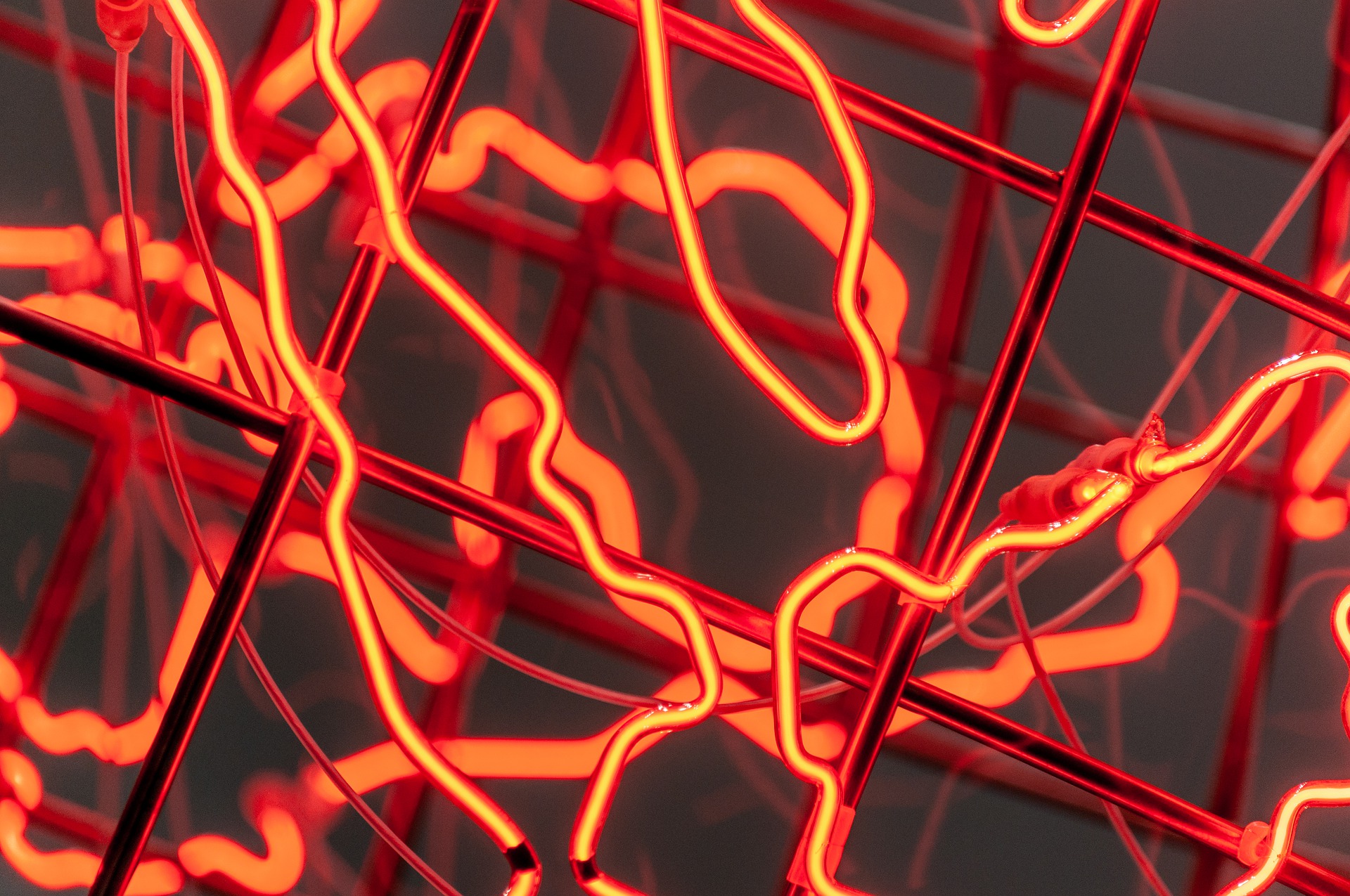 neon-light-7750888_1920.jpg